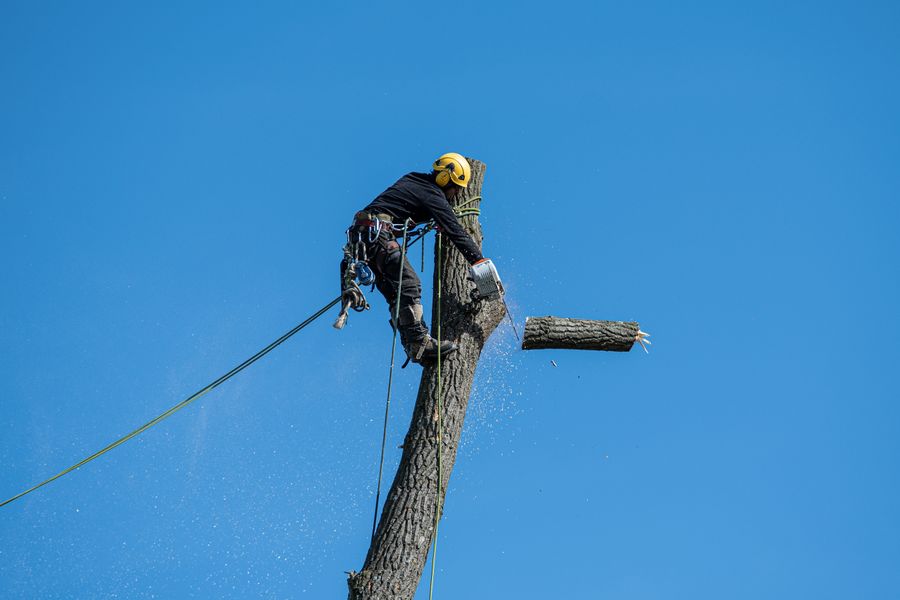 Bullseye crew working a residential property in the Chippewa Valley